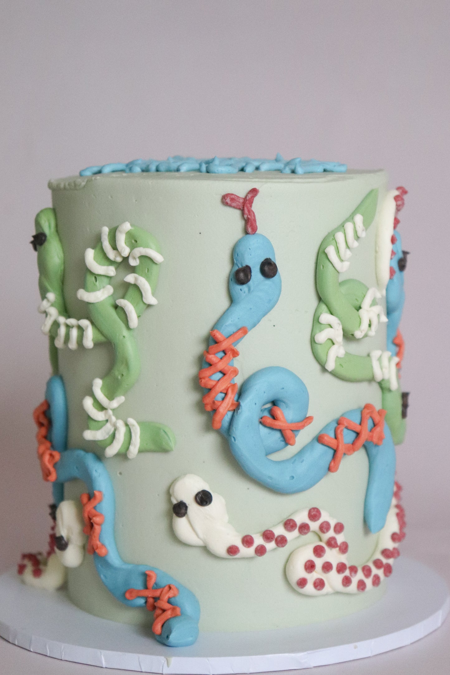 Snake Cake