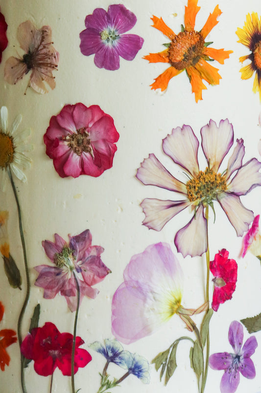 Pressed Petals